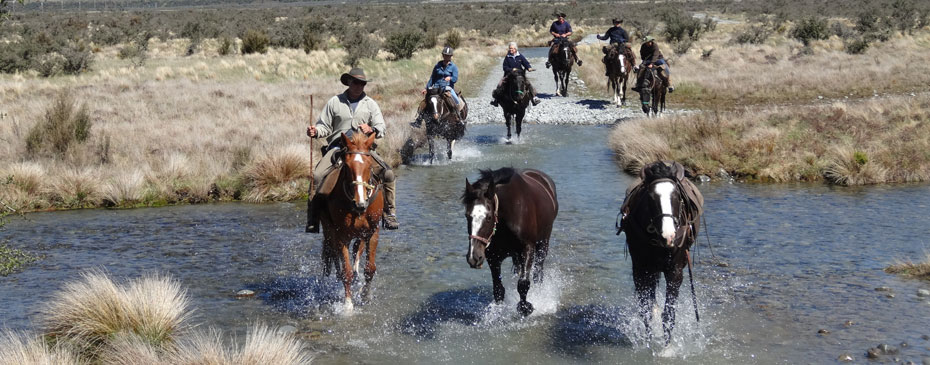 Horse Safaris